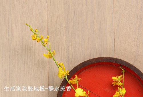说明: 生活家除醛地板-静水流香1_副本.jpg